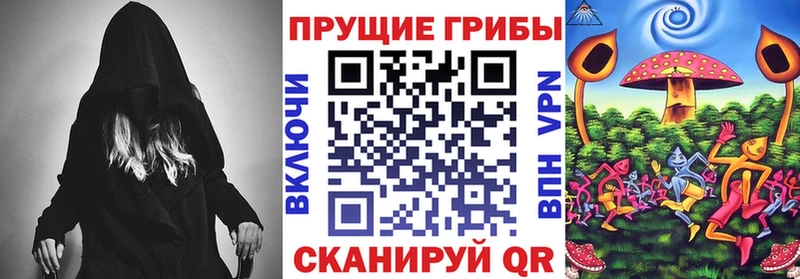 купить наркоту Ессентуки Псилоцибиновые грибы MAGIC MUSHROOMS